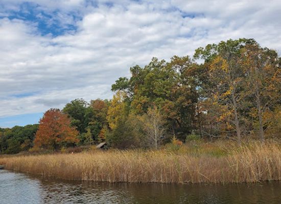 indiana/pokagon-state-park/attraction/trine-state-recreation-area