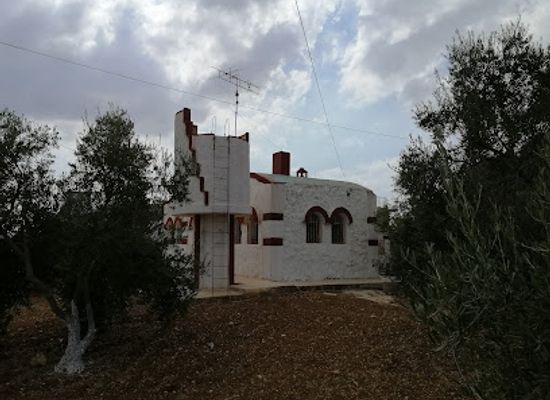 jordan/umm-qais/attraction/local-oak-look