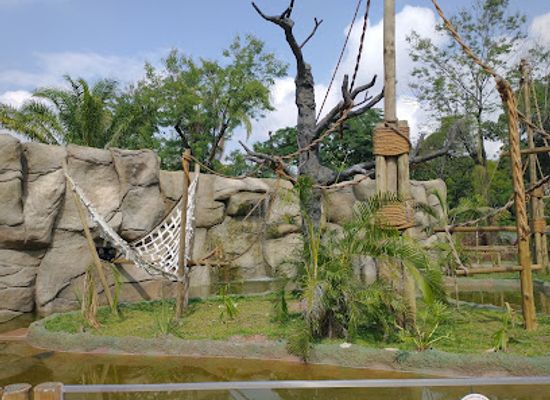 brazil/caatinga/attraction/biopark-of-rio