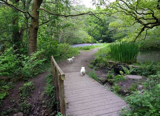 united-kingdom/gwent/attraction/sirhowy-valley-country-park