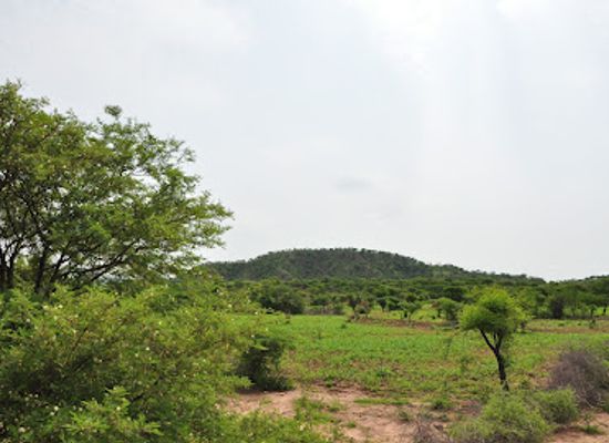 ethiopia/mago-national-park/attraction/kafta-sheraro-national-park