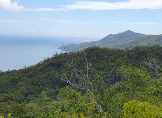 seychelles/ile-therese/attraction/congo-rouge