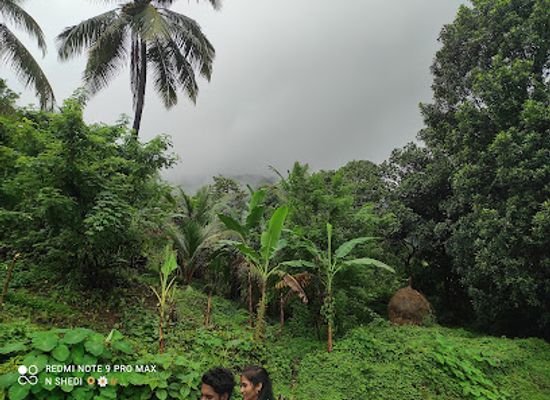 india/goa/attraction/kuske-waterfall