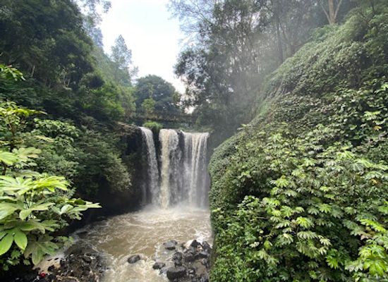 indonesia/bandung/dago/attraction/tahura-taman-hutan-raya-djuanda