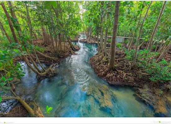 thailand/krabi/attraction/thapom-klong-song-nam