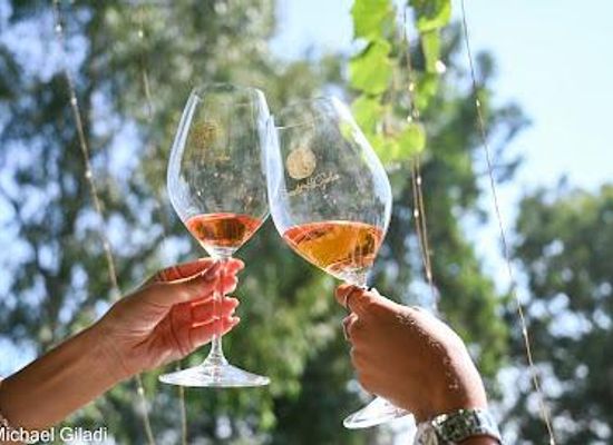 israel/golan-heights/attraction/bazelet-hagolan-winery