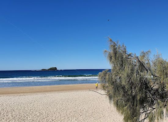 australia/sunshine-coast/attraction/power-memorial-park