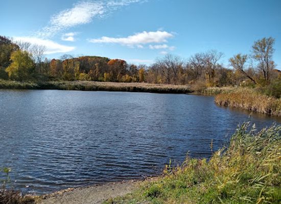 new-york/albany/attraction/tivoli-lake-preserve
