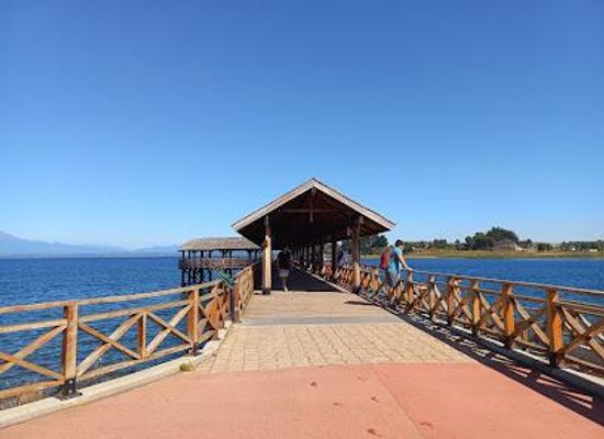 chile/puerto-varas/attraction/playa-los-cisnes