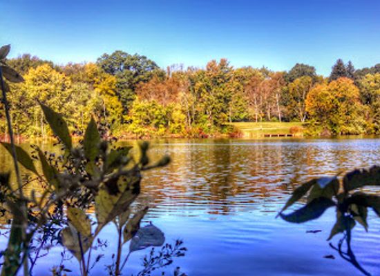 ohio/central-ohio/attraction/three-creeks-metro-park