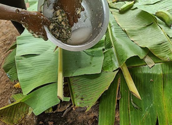uganda/western-region/attraction/rest-in-banana