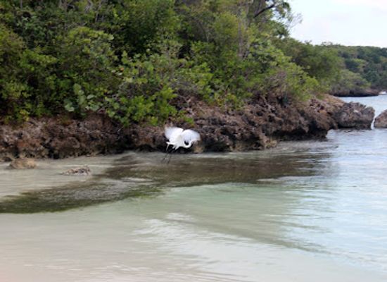 puerto-rico/vieques/attraction/la-prisca-vieques-pr