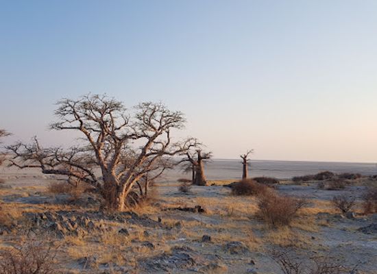 botswana/makgadikgadi-pans/attraction/kubu-island