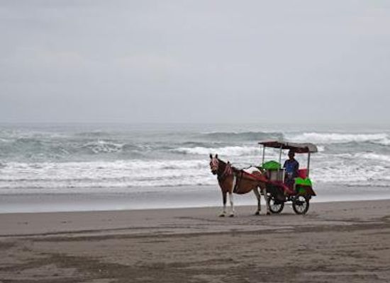 indonesia/java/attraction/parangtritis-beach
