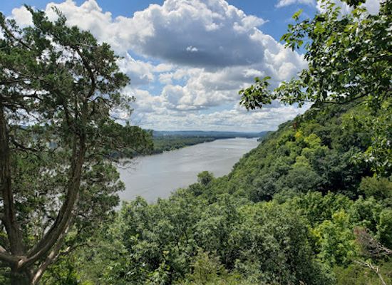iowa/pikes-peak-state-park/attraction/yellow-river-state-forest