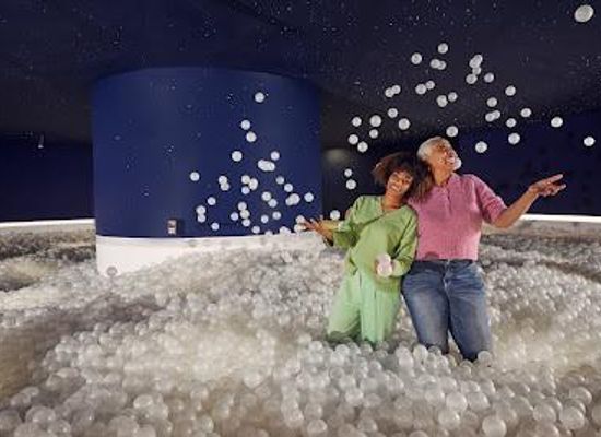 texas/gulf-coast/attraction/color-factory-houston