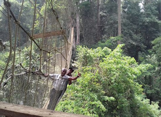 ghana/akosombo/attraction/bunso-arboretum