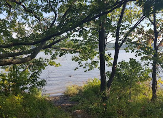 new-york/hudson-valley/attraction/brandow-point-unique-area