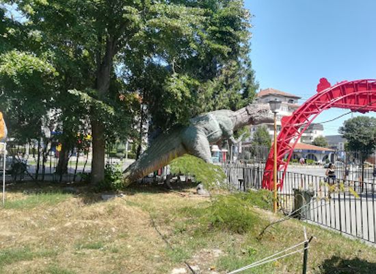 romania/constanta/attraction/the-dolphinarium-of-constanta