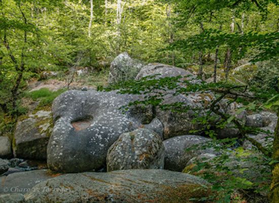 france/midi-pyrenees/attraction/la-riviere-de-rochers