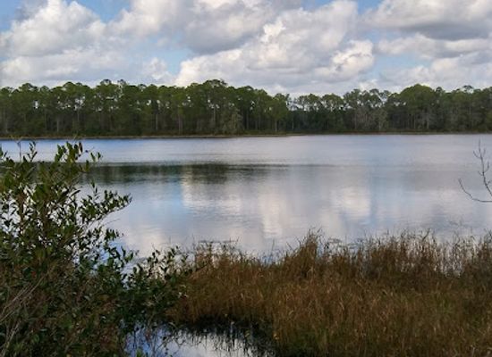 florida/ocala-national-forest/attraction/ocala-national-forest-seminole-ranger-station