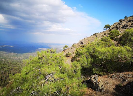 cyprus/machairas-mountains/attraction/kakokefalos-trail