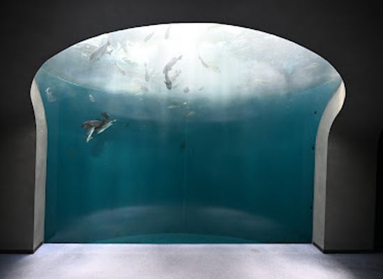 japan/shikoku/attraction/shikoku-aquarium
