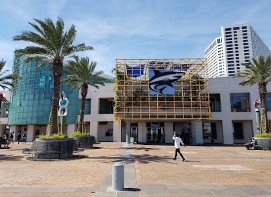 louisiana/lake-pontchartrain/attraction/audubon-aquarium