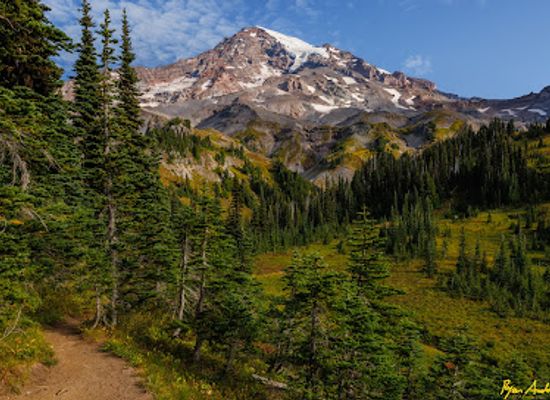washington/mount-rainier-national-park/attraction/van-trump-trail-mount-rainier-national-park