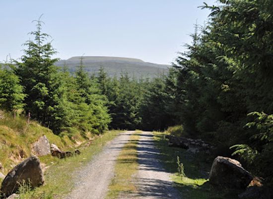 ireland/wicklow-mountains/attraction/carrigunneen