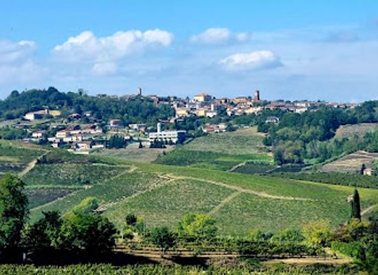 italy/monferrato/attraction/maranzana-il-paese-dei-babaci