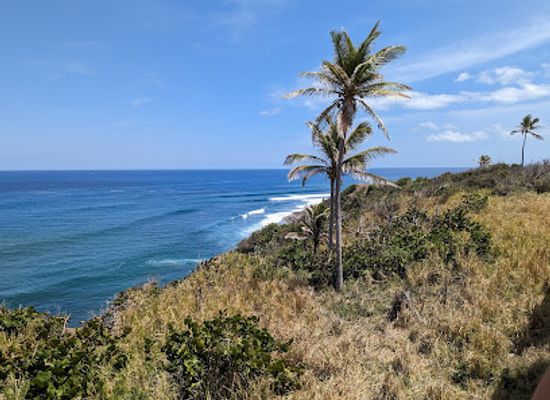 saint-kitts-and-nevis/black-rocks/attraction/st-kitts-scenic-railway