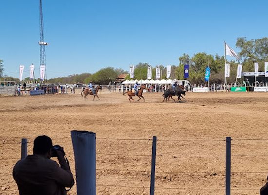 paraguay/gran-chaco/attraction/expo-rodeo-trebol