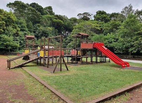 portugal/azores/attraction/reserva-florestal-de-recreio-do-pinhal-da-paz