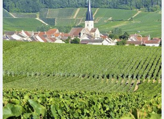 france/champagne/attraction/montagne-de-reims-regional-natural-park