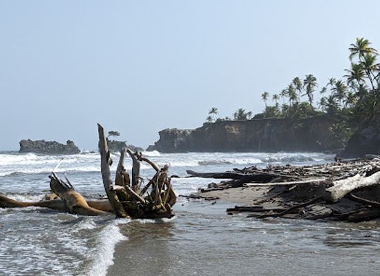 trinidad-and-tobago/toco-lighthouse/attraction/cnc-beach