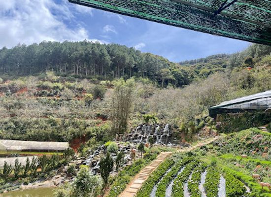 vietnam/dalat/attraction/thung-lung-hong