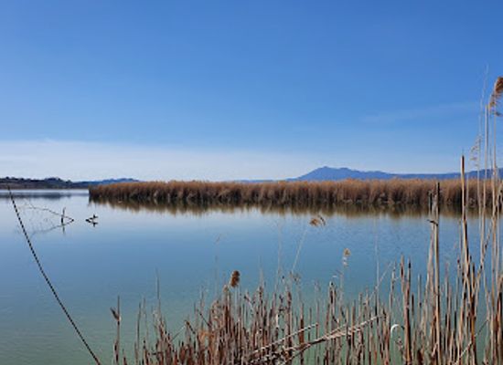 italy/montepulciano/attraction/visitor-center-nature-reserve-lago-di-montepulciano