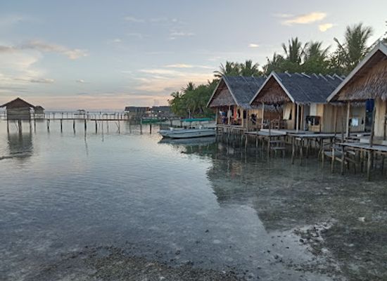 indonesia/south-papua/attraction/barefoot-conservation
