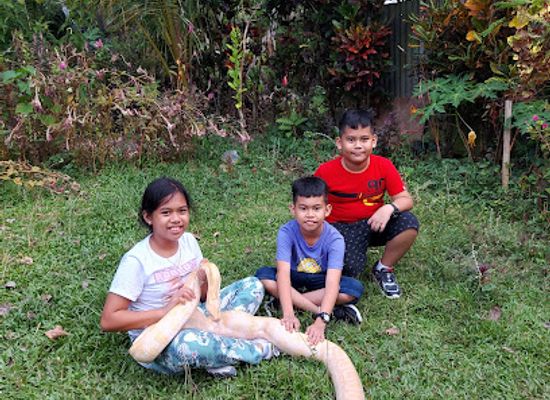 philippines/central-visayas/attraction/bohol-python-wildlife-park