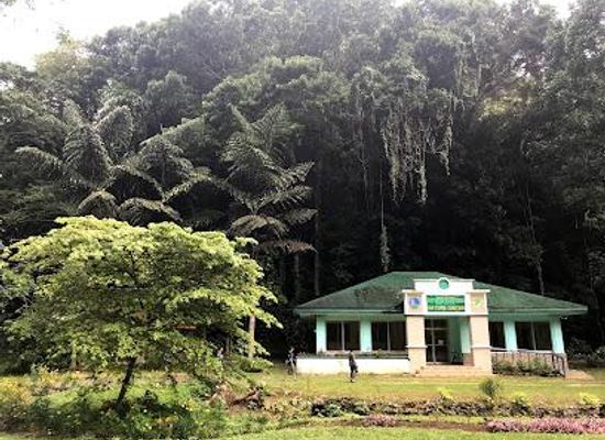 philippines/bohol/attraction/rajah-sikatuna-protected-landscape