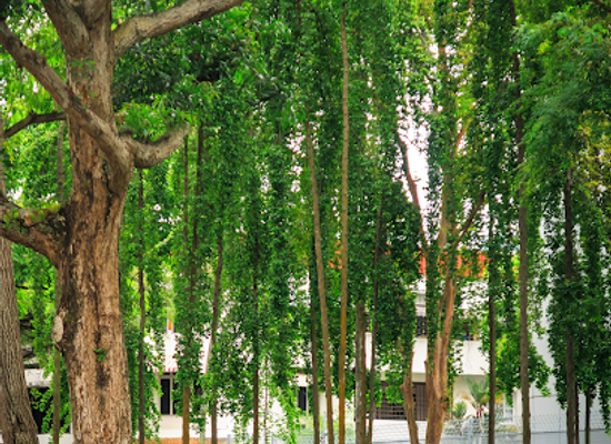 singapore/southern-ridges/attraction/tiong-bahru-cultural-district-walk