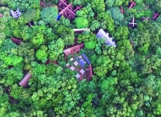 india/coromandel-coast/attraction/sadhana-forest