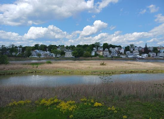 massachusetts/essex-county/attraction/belle-isle-marsh-reservation