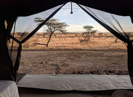 tanzania/arusha/attraction/asilia-africa
