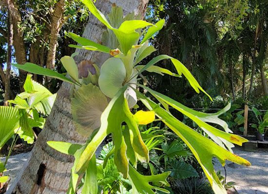 florida/southwest-florida/attraction/in-the-garden