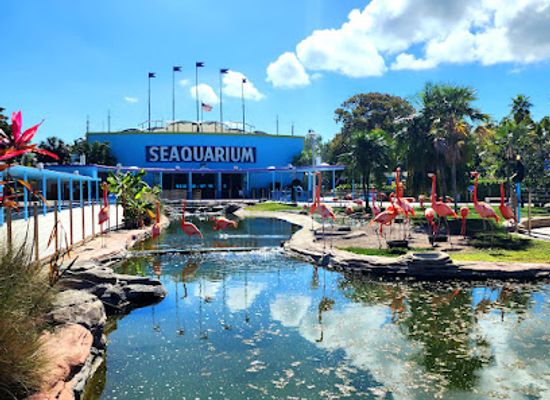florida/miami-beach/attraction/miami-seaquarium