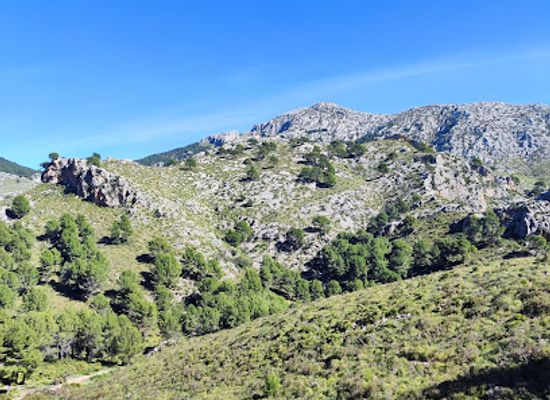 spain/balearic-islands/attraction/mirador-des-des-sinies