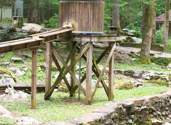 alabama/conecuh-national-forest/attraction/rickwood-caverns-state-park