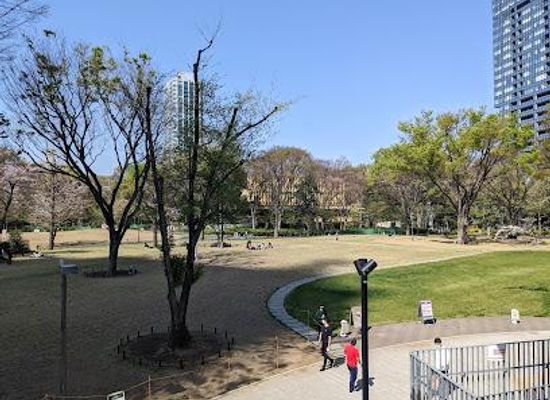 japan/tokyo/attraction/shinjuku-chuo-park